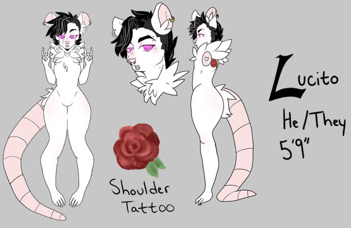 ref sheet example